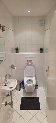 a bathroom with a toilet and a sink at Zimnitzblick in Haiden