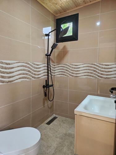 a bathroom with a toilet and a sink at Merisi Horizon 2 in Silibauri