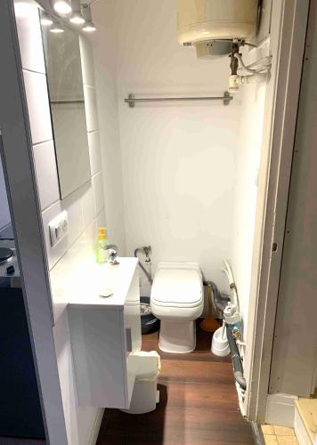 a white bathroom with a toilet and a sink at Studio Léman in Chambéry