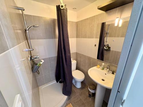 a bathroom with a shower and a toilet and a sink at Appartements Corte centre in Corte