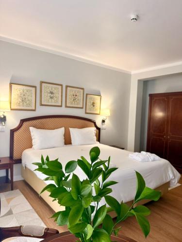 a bedroom with a bed with a plant in it at Hotel Talisman in Ponta Delgada