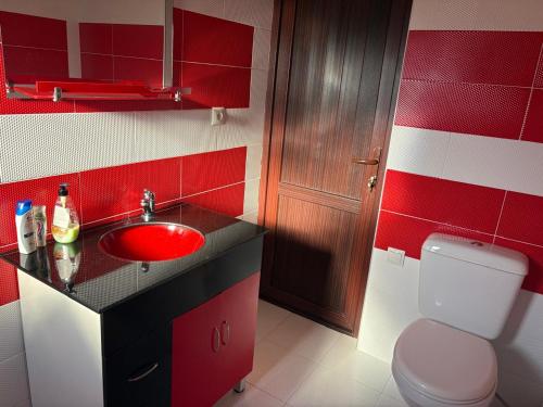 a red bathroom with a sink and a toilet at Alazani 2015 in Duisi