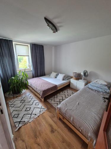 a bedroom with two beds and a window at Zakątek Pod Lasem in Wydminy