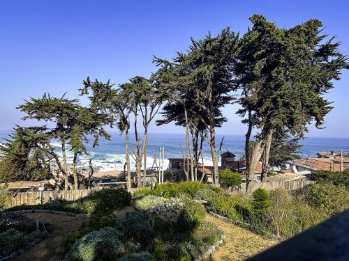 a garden with trees and the ocean in the background at Casona IslaNegra in Isla Negra