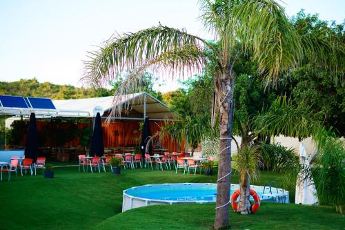 a palm tree next to a pool with tables and chairs at The Place in Albufeira