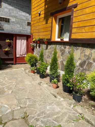 a group of potted plants in front of a building at Ребровач in Tatariv