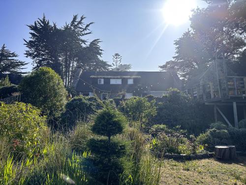 a garden with a house and a christmas tree at Casona IslaNegra in Isla Negra