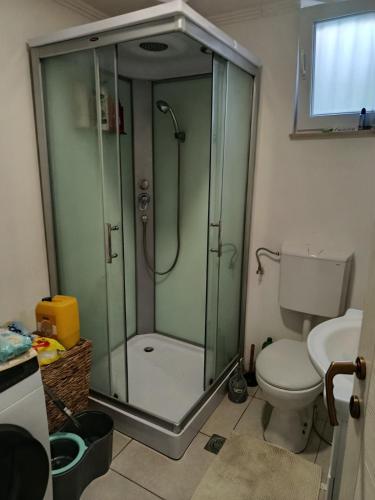 a bathroom with a shower with a toilet and a sink at Planinska Kuća Nišićka visoravan in Ilijaš
