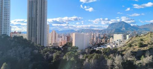 Beach Garden Benidorm