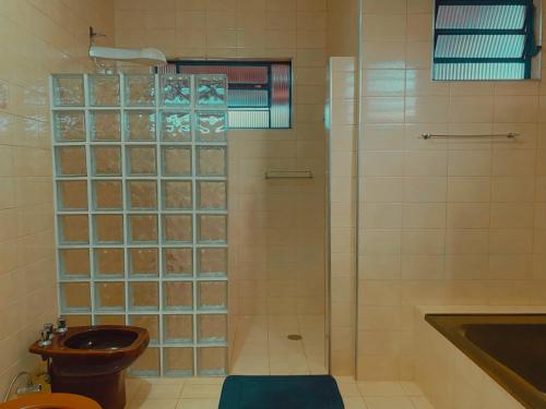 a bathroom with a shower with a toilet and a sink at Pousada Pico do Papagaio in Aiuruoca