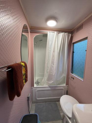 a pink bathroom with a shower and a toilet at SeaSoul Cottage in Zvejniekciems
