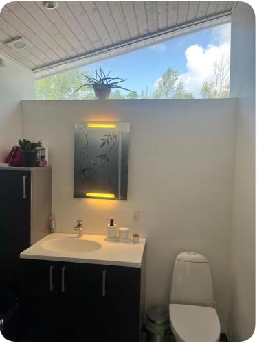 a bathroom with a sink and a window and a toilet at Sommerhus in Grevinge