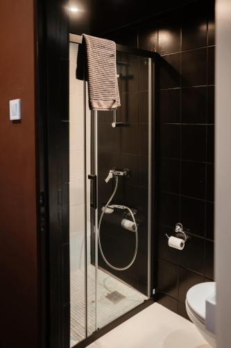 a shower in a bathroom with a glass door at Apartamenty Młyńska15 self check-in 24h in Katowice