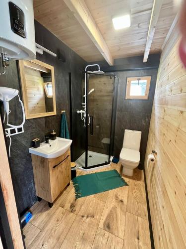 a bathroom with a shower and a sink and a toilet at Domki Kompas in Jantar