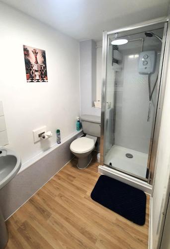 a bathroom with a shower and a toilet and a sink at Ground Floor Flat 1 Seven Cambrian square in Newtown
