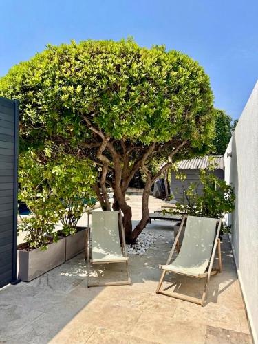 two chairs and a tree in front of a building at L'arbousier in Cassis
