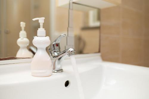 a bathroom sink with a soap dispenser and a mirror at Casa delle Rondini in Belej