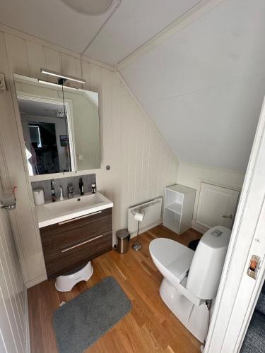 a bathroom with a toilet and a sink and a mirror at Enebolig i Larkollen in Moss
