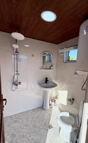 a bathroom with a sink and a toilet at Guesthouse Roza in Tsvirmi