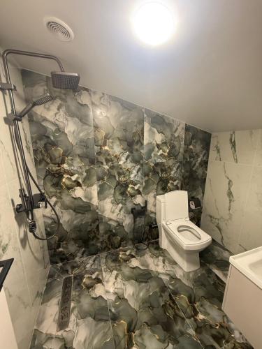 a bathroom with a toilet and a shower at Davos hotel and tours in Pʼarakʼar