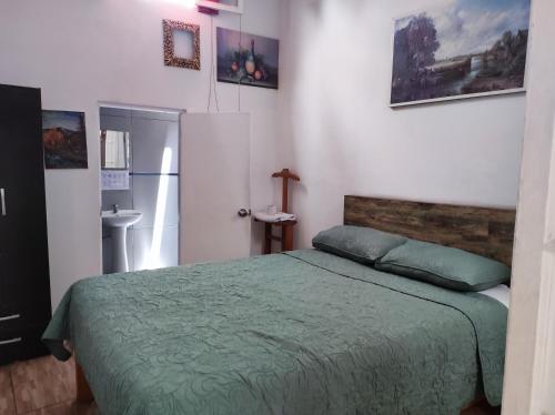 a bedroom with a bed with a green comforter at Santa Beatriz in Lima