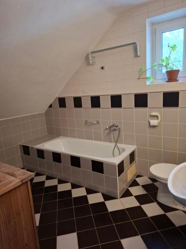a bathroom with a bath tub and a toilet at Chalupa u Strakov in Lúčky