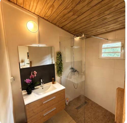 a bathroom with a sink and a shower at Le KOZY, LULU, FAR FAR in Saint-Joseph