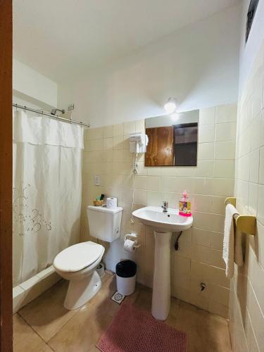 a bathroom with a toilet and a sink at Pequeño Monoambiente céntrico 1E in Puerto Iguazú