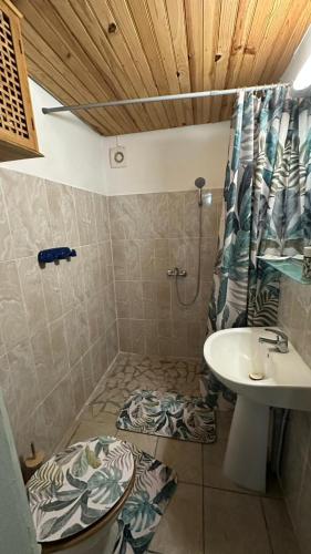 a bathroom with a shower with a sink and a toilet at La Maison Du Bonheur in Capesterre-Belle-Eau