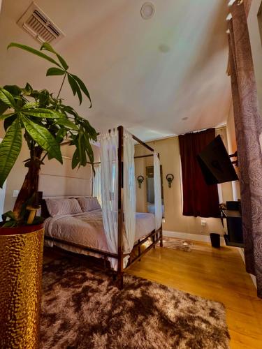 a bedroom with a bed and a potted plant at Master Suite De Carlo Shared Property PRIVATE stay NYC 18mins in North Bergen