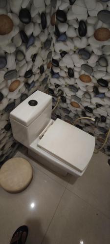 a white toilet in a bathroom with a wall of rocks at La Buddha Villagers BY Ansh Palace Hotel in Agra
