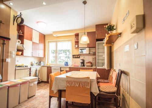 Kuchyňa alebo kuchynka v ubytovaní Guest House Wanda