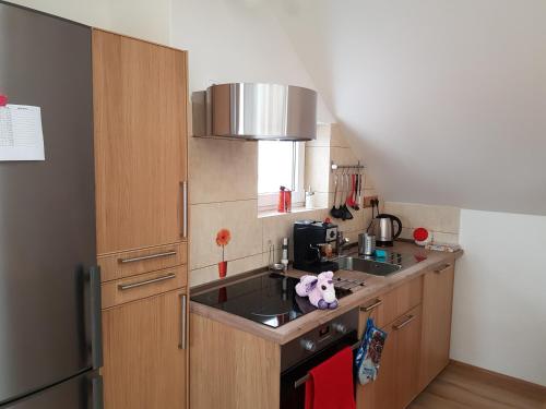 Dapur atau dapur kecil di Apartments Anna and Ondra