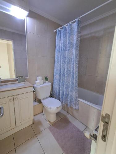 a bathroom with a toilet and a sink and a shower at Dpto vista hermosa in Osorno