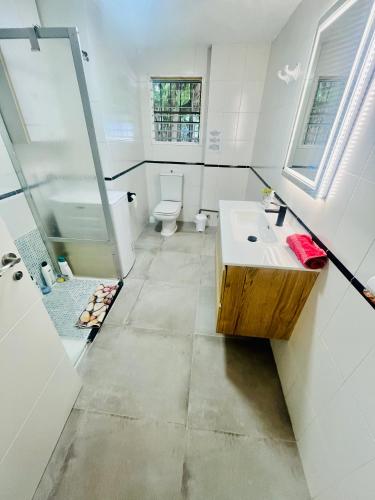 a bathroom with a sink and a toilet at Alicante Garden & BBQ - Estudio adosado con Jardín, Parking Privado y Relax Total in Alicante