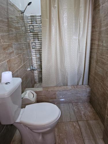 a bathroom with a toilet and a shower at This apartment blends elegance and calm in Mills Center