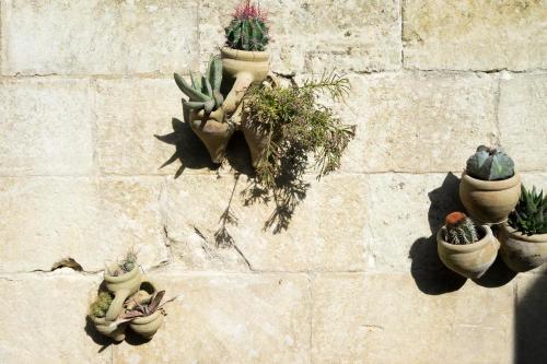 Fotografie z fotogalerie ubytování Masseria L'Uliveto Agri Resort v destinaci Otranto