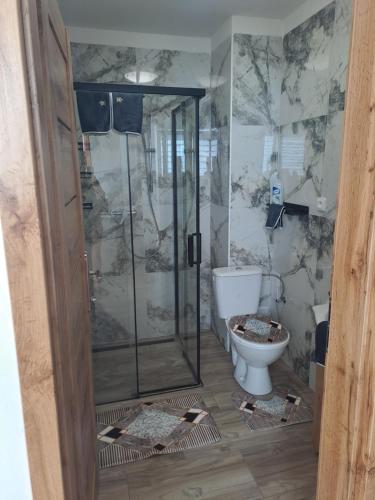 a bathroom with a shower and a toilet at Ubytování na ranči in Hrabětice
