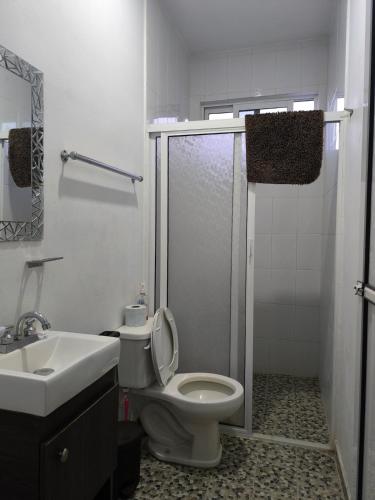 a bathroom with a shower and a toilet and a sink at Loft los Colibries 6 parking option in Tlaxcala de Xicohténcatl