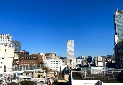 Hale Akasaka - The Penthouse
