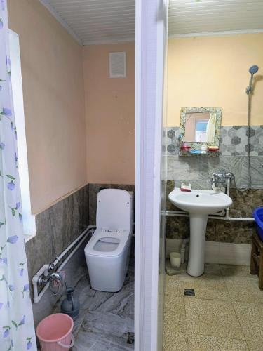 a bathroom with a toilet and a sink at Avaxil Pirqulu in Avaxıl