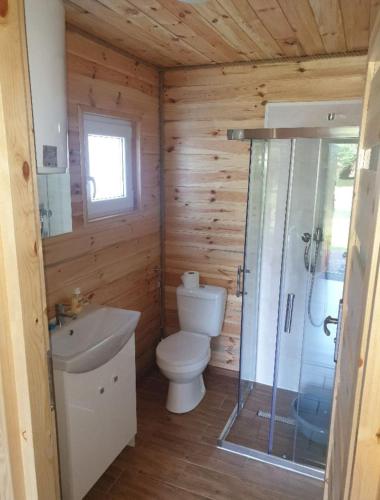 a bathroom with a toilet and a sink and a shower at Domki U Grega na kaszubach in Wiele