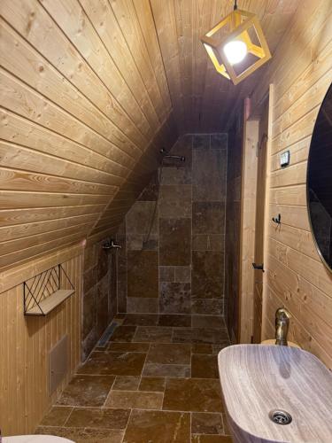a bathroom with a shower and a sink at Conacul lui Patrick in Poenari