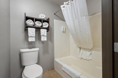 a bathroom with a toilet and a tub and a shower at Park Inn by Radisson Ortonville in Ortonville