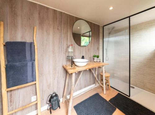 a bathroom with a sink and a mirror at Entre Ciel et Rivière in Bouillon
