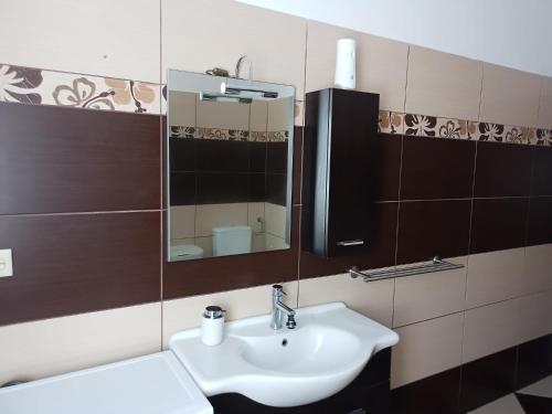 a bathroom with a sink and a mirror at Villa Meja in Hreljin