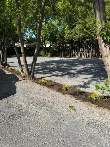 a road with trees on the side of it at Appartement tout inclus - Longs séjours in Mirabel