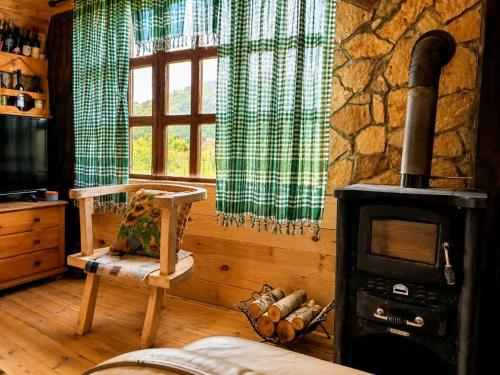 a living room with a wood stove and a window at Konak in Podgorica