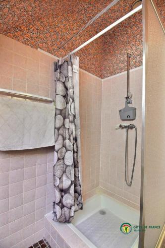 a bathroom with a shower and a bath tub at Ar gwelva in Cléguérec