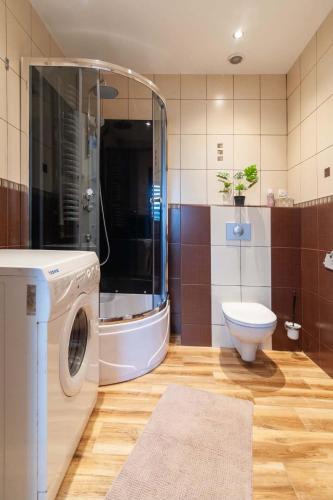 a bathroom with a washing machine and a toilet at Apartament i Pokoje u Moniki in Witów